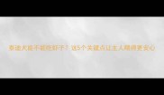 泰迪犬能不能吃虾子这5个关键点让主人喂得更安心