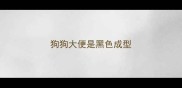 狗狗大便是黑色成型