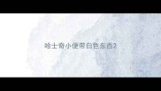 哈士奇小便带白色东西