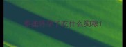 泰迪怀孕了吃什么狗粮