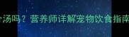 哈士奇可以喝排骨汤吗营养师详解宠物饮食指南与科学喂养方案