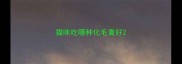 猫咪吃哪种化毛膏好