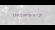白泰迪和比熊哪个贵