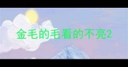 金毛的毛看的不亮