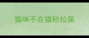 猫咪不在猫砂拉屎