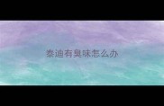 泰迪有臭味怎么办