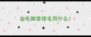 金毛脚掌修毛用什么