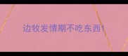 边牧发情期不吃东西