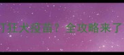 狗狗多大需要打狂犬疫苗全攻略来了新手必看