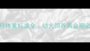 萨摩耶3个月体重标准全幼犬饲养黄金期必看发育指南