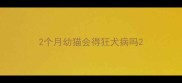 2个月幼猫会得狂犬病吗