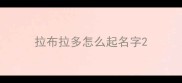 拉布拉多怎么起名字