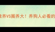 哈士奇散养VS圈养大养狗人必看的终极指南