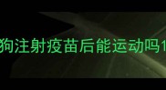 狗注射疫苗后能运动吗