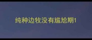 纯种边牧没有尴尬期