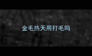 金毛热天用打毛吗