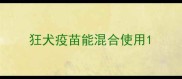 狂犬疫苗能混合使用