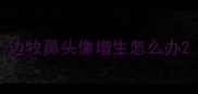边牧鼻头像增生怎么办
