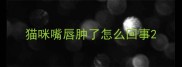 猫咪嘴唇肿了怎么回事