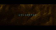 如何让小狗适应链子