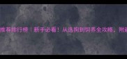 拉布拉多推荐排行榜新手必看从选狗到饲养全攻略附避坑指南