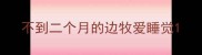 不到二个月的边牧爱睡觉