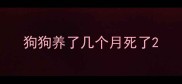 狗狗养了几个月死了