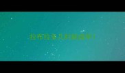 拉布拉多几时能成年