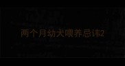 两个月幼犬喂养忌讳