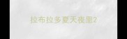 拉布拉多夏天夜里