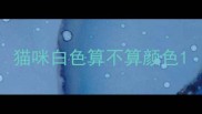 猫咪白色算不算颜色