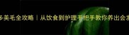 拉布拉多美毛全攻略从饮食到护理手把手教你养出会发光的毛