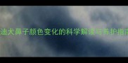 泰迪犬鼻子颜色变化的科学解读与养护指南