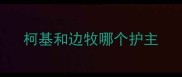 柯基和边牧哪个护主