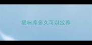猫咪养多久可以放养