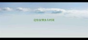 边牧发情多久时间