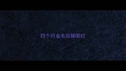 四个月金毛拉稀呕吐