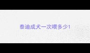 泰迪成犬一次喂多少