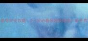 布偶猫月龄养护全攻略0-1岁必看保姆级指南新手养猫必收藏