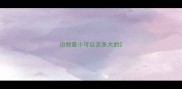边牧最小可以买多大的