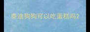 泰迪狗狗可以吃蛋糕吗
