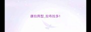 唐拉宾型拉布拉多
