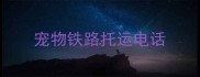 宠物铁路托运电话