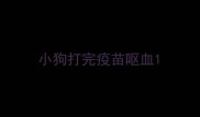 小狗打完疫苗呕血
