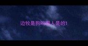 边牧是狗吗跟人是的