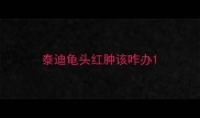 泰迪龟头红肿该咋办