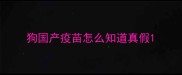 狗国产疫苗怎么知道真假
