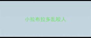小拉布拉多乱咬人