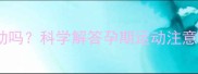 金毛犬孕期能运动吗科学解答孕期运动注意事项与禁忌事项