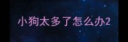 小狗太多了怎么办